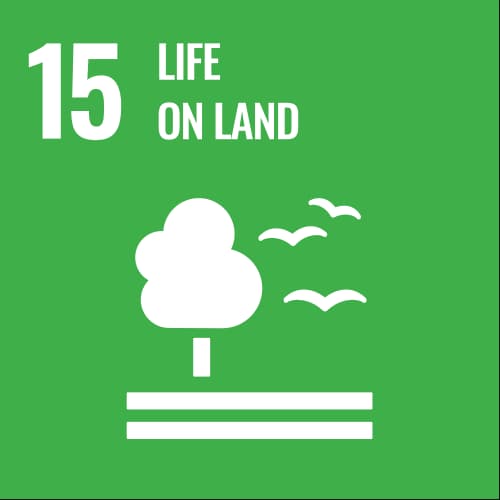 SDG 15: Tài nguyên và môi trường trên đất liền